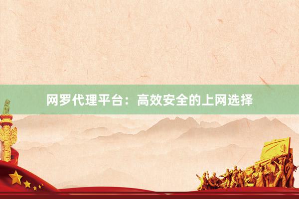 网罗代理平台：高效安全的上网选择